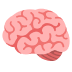 brain